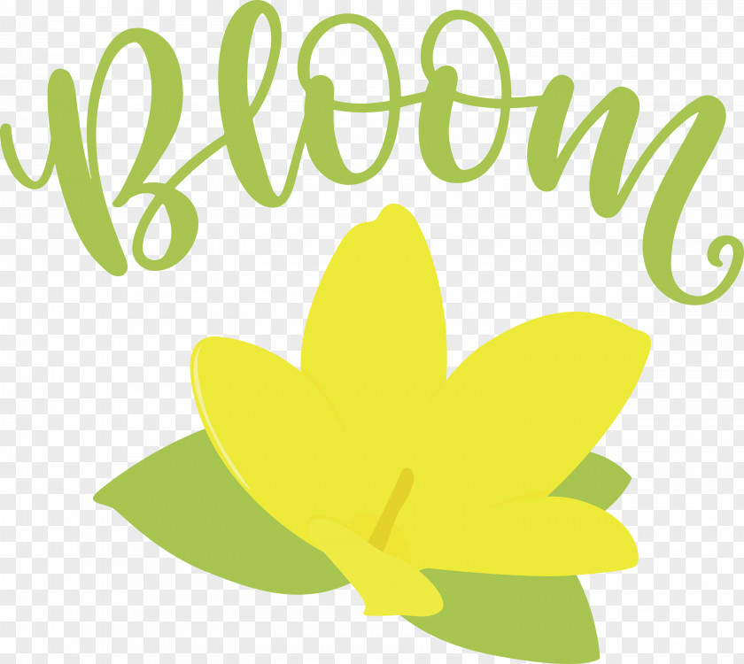 Bloom Spring Flower PNG