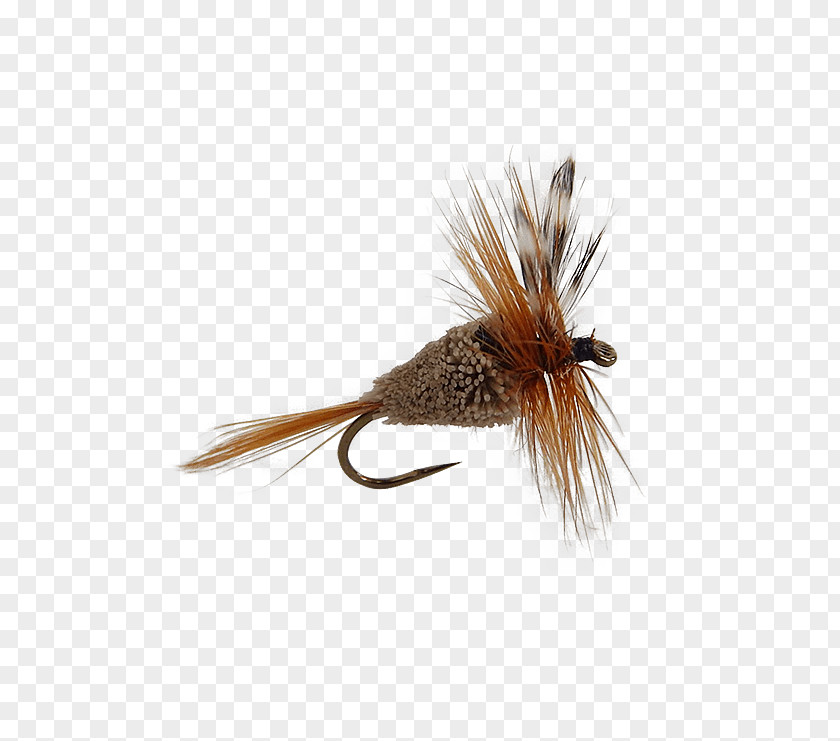 Dry Flies Artificial Fly Pheasant Tail Nymph Quill Gordon Trout PNG
