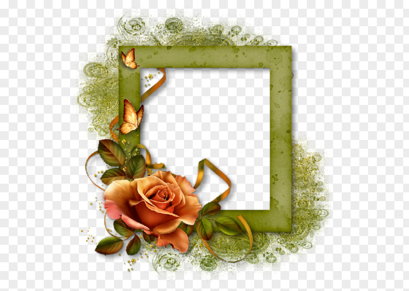 Floral Design Rose Family Picture Frame PNG