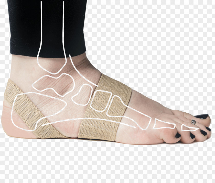 Foot Ankle Shoe Insert Plantar Fasciitis Sprain PNG