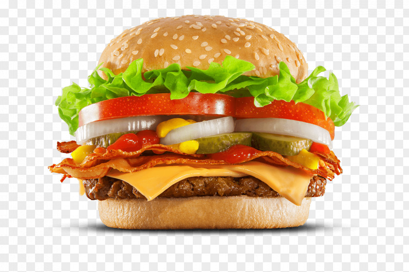 Junk Food Fast French Fries Hamburger McDonald's Big Mac PNG