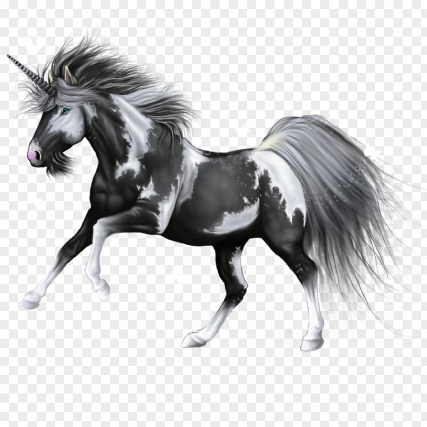 Painted Horseshoes Unicorn Howrse Mane Pegasus Pony PNG