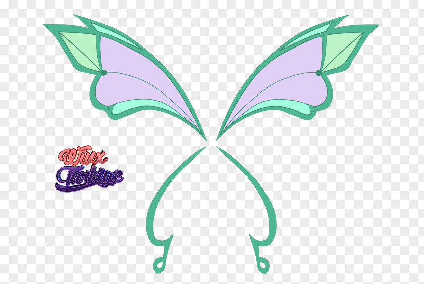 Stella Tecna Bloom Winx Club: Believix In You Aisha PNG