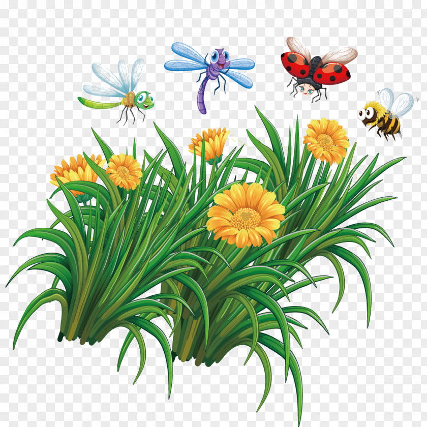 Vector Flowers Bee Insect Illustration PNG