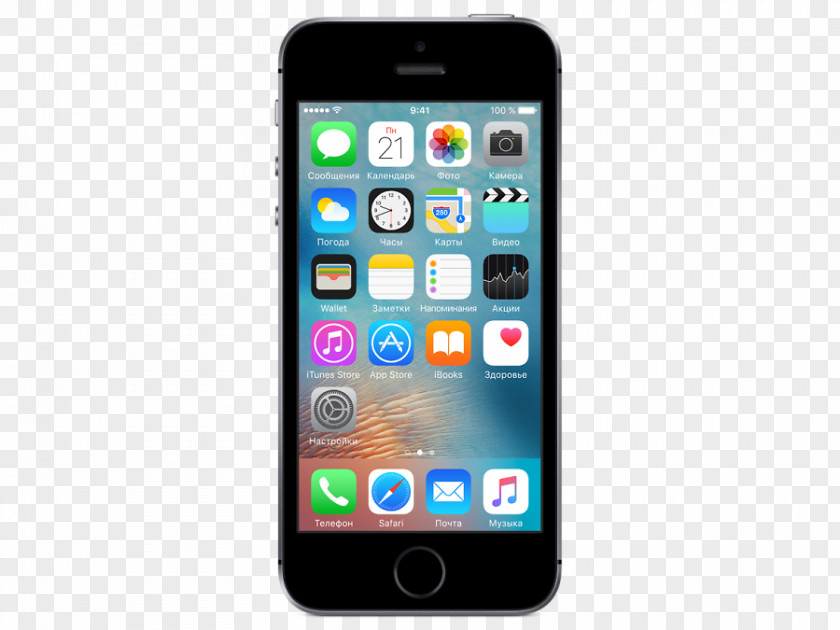 Apple IPhone 5s 16 Go PNG