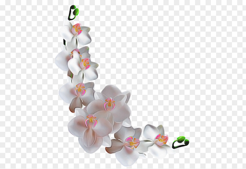 Baby Toys Dendrobium Pink Flower Cartoon PNG