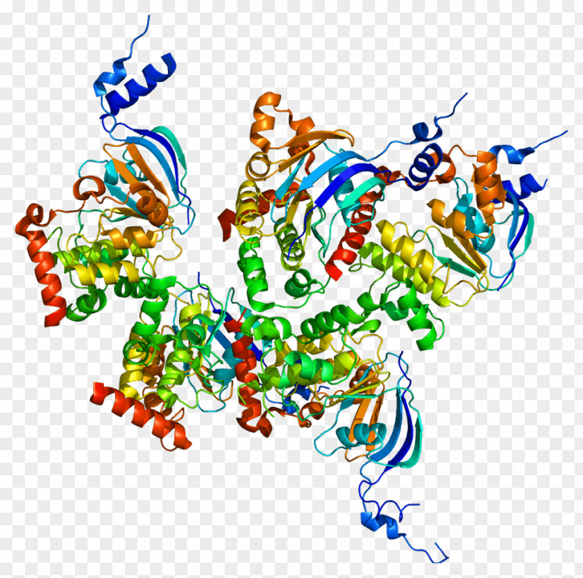 Cystic Fibrosis Transmembrane Conductance Regulator Gene Protein Chloride Channel PNG