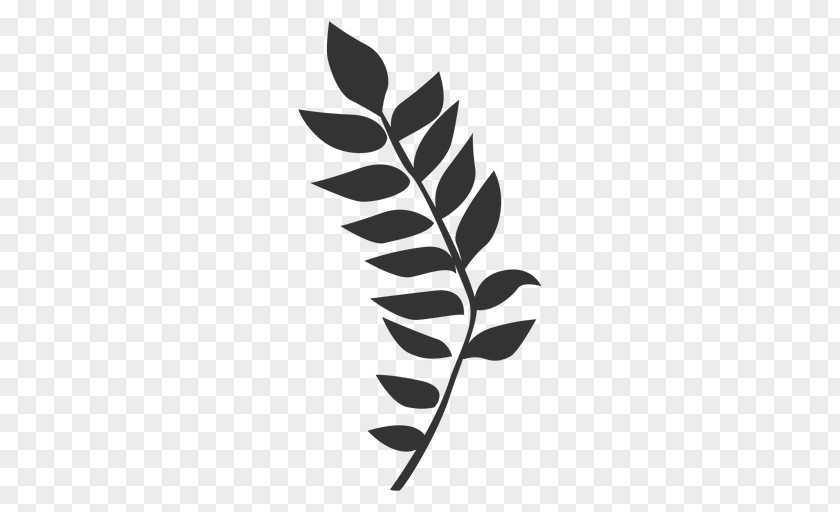 Fern Leaf Line PNG