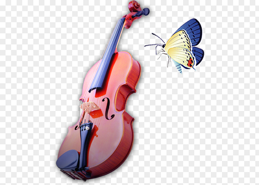 Violin Cello Viola Fiddle PNG
