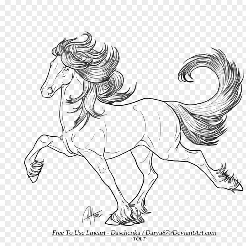 Horsehead Printing Pony Icelandic Horse Line Art Drawing Sketch PNG