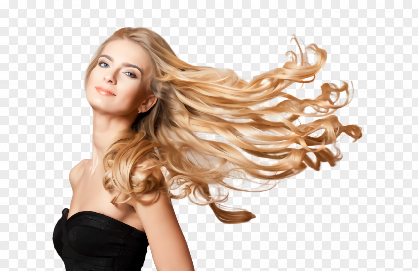 Human Brown Hair Blond Hairstyle Skin Coloring PNG