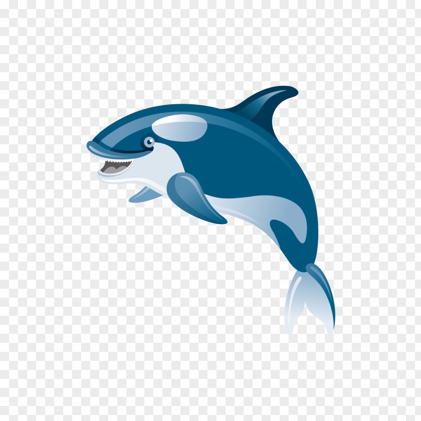 Jumping Cartoon Sharks Shark Common Bottlenose Dolphin Icon PNG