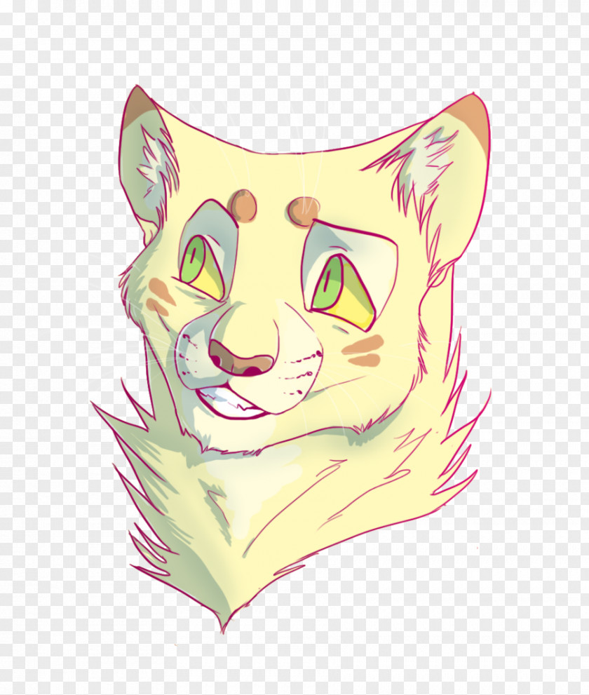 Kitten Whiskers Cat Sketch PNG