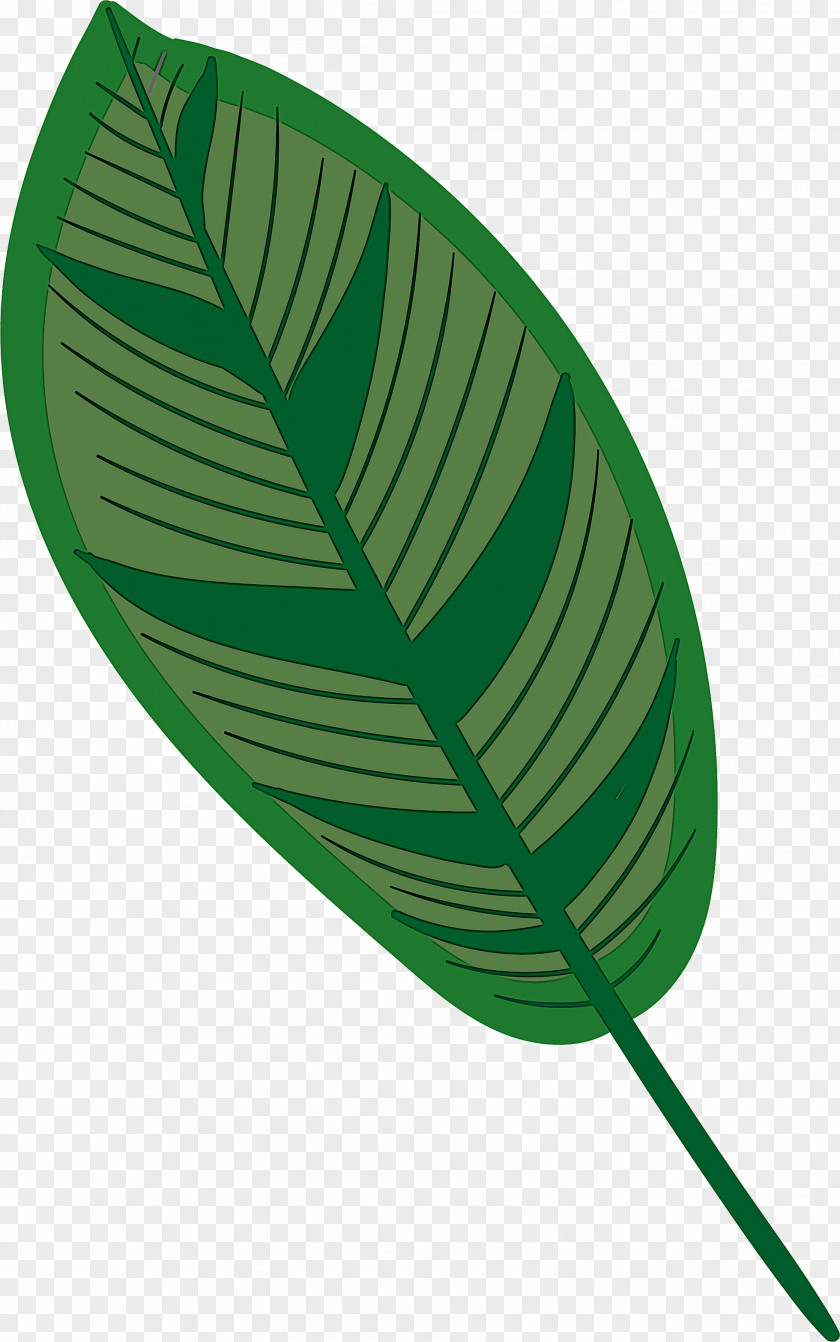 Leaf PNG