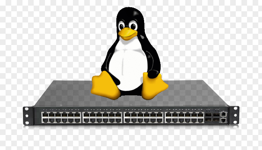 Linux Computer Network Open-source Software Model Operating Systems PNG