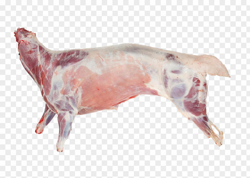 Meat Sheep Lamb And Mutton Goat Halal PNG