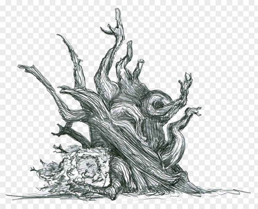 Tree Sketch Illustration Line Art Animal Flowering Plant PNG