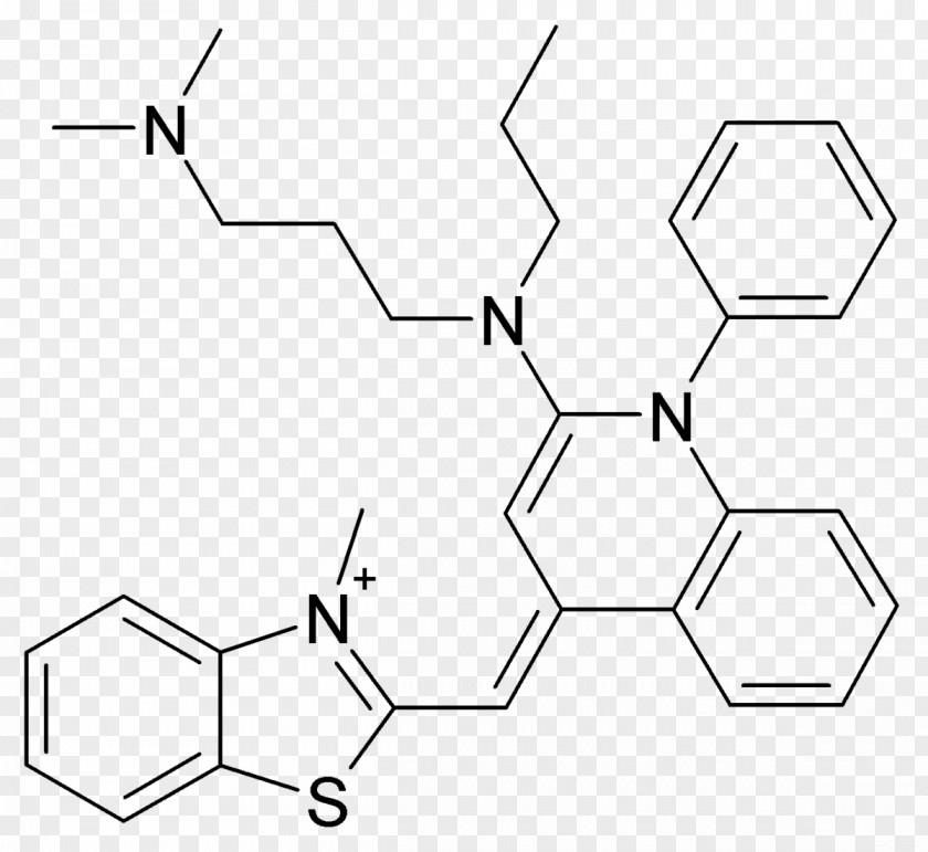 Dna Structure SYBR Green I Nucleic Acid Molecular Biology Ethidium Bromide DNA PNG