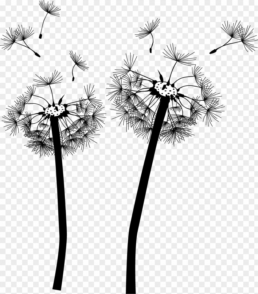 Hand Painted Dandelion Wall Decal Mural PNG