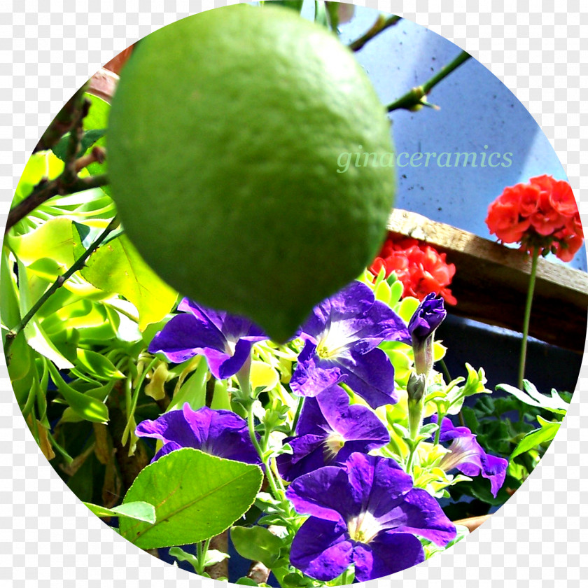 Handpainted Perfume Citrus Leaf PNG