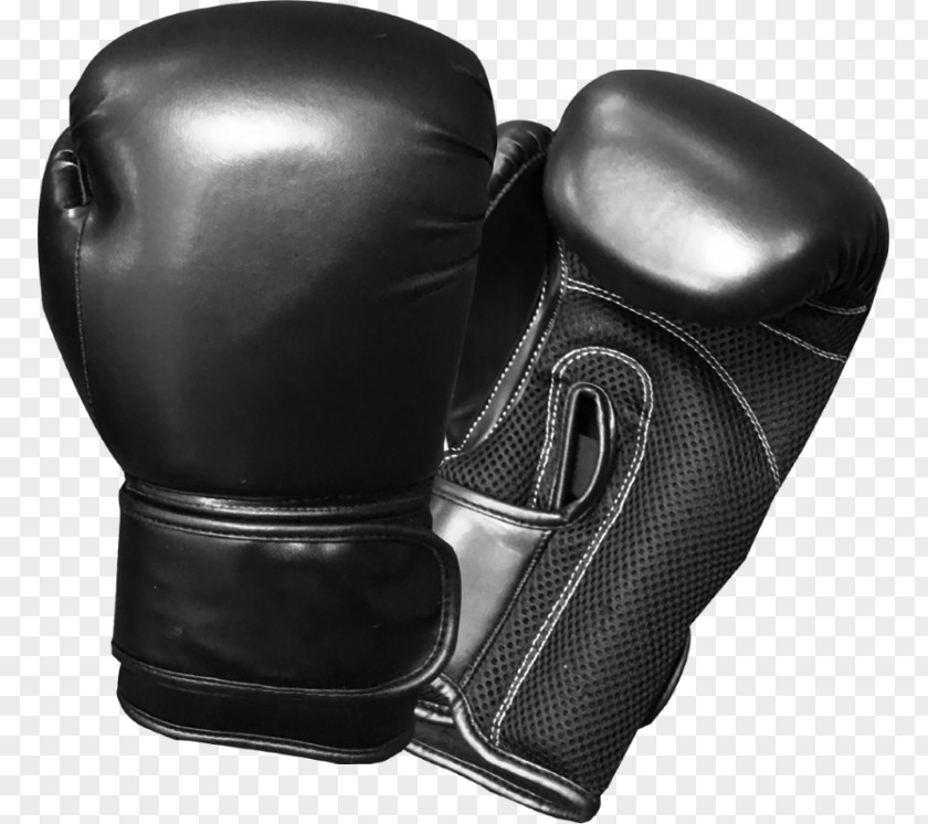 Professional Art Supplies Cheap Boxing Glove Martial Arts New York City PNG