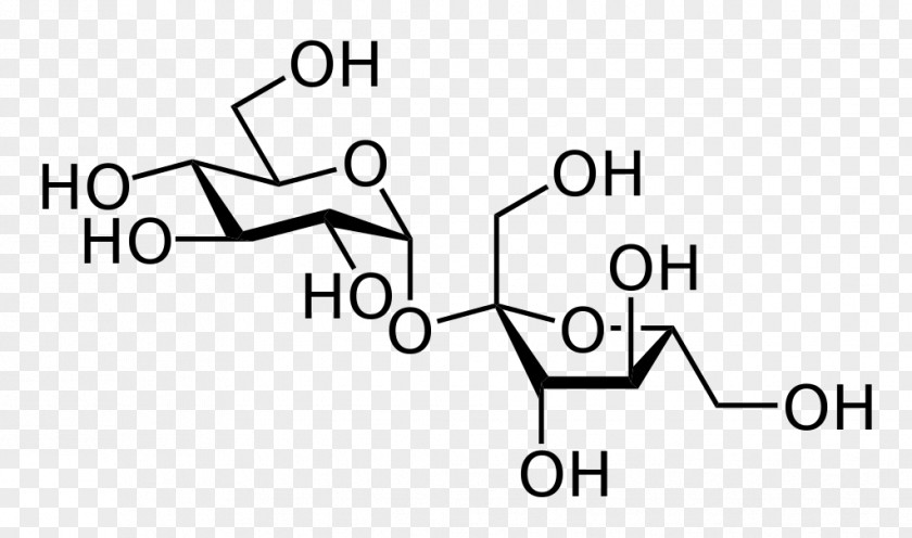 Sugar Lactose Sucrose Disaccharide Carbohydrate Monosaccharide PNG