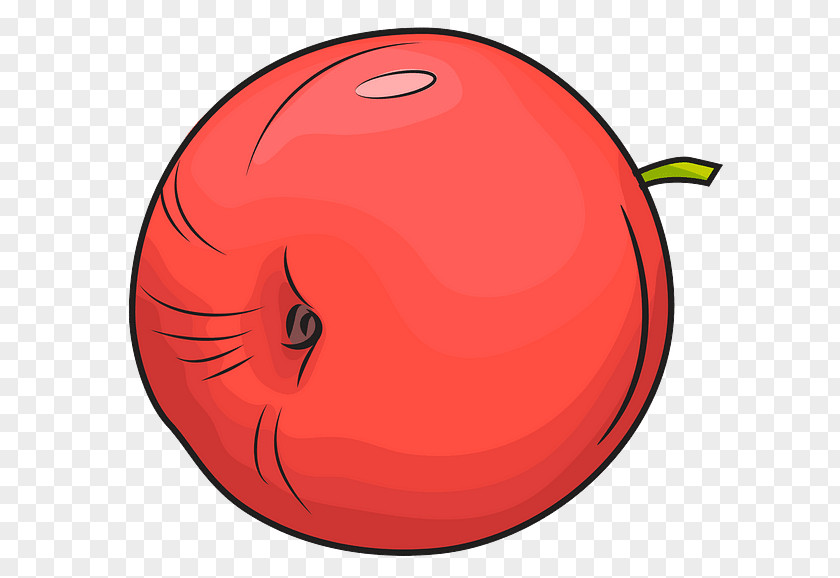 Vegetable Solanum Tomato PNG