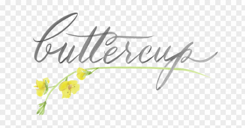 Buttercup Logo Pearland Bakery Brand Max Clip Art PNG