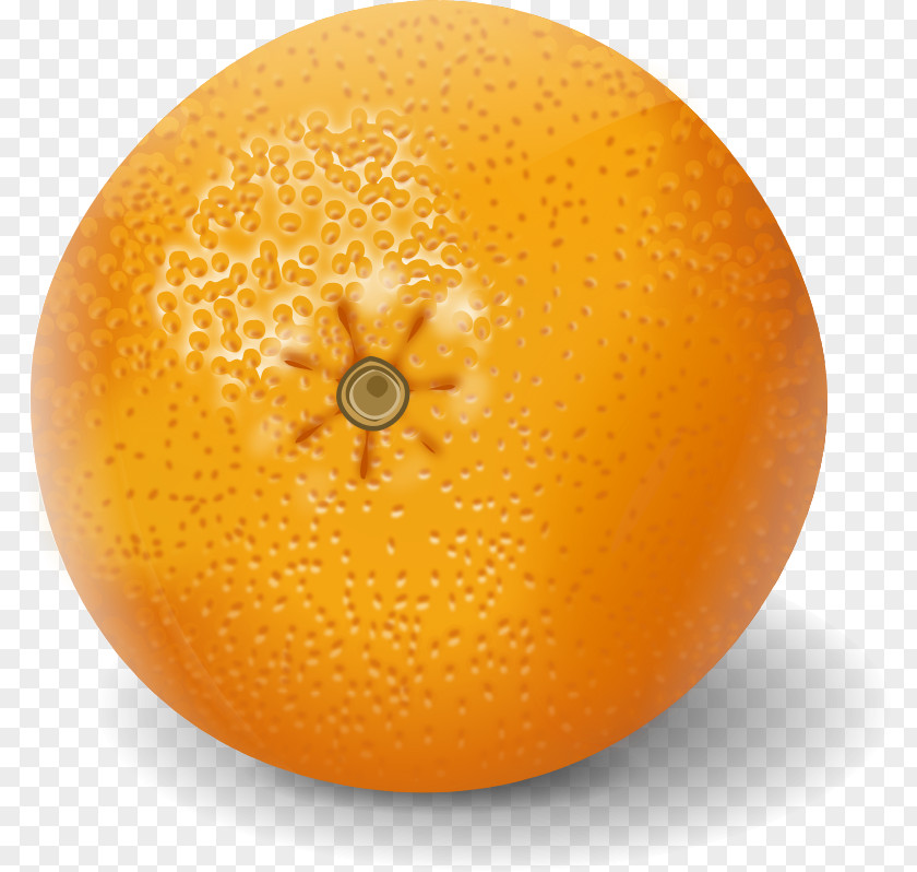 Orange Clementine Juice Valencia Mandarin PNG