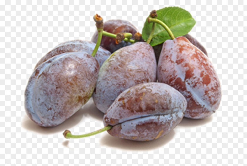 Plum Pons-Verlag Prunus Food Translation Dictionary PNG