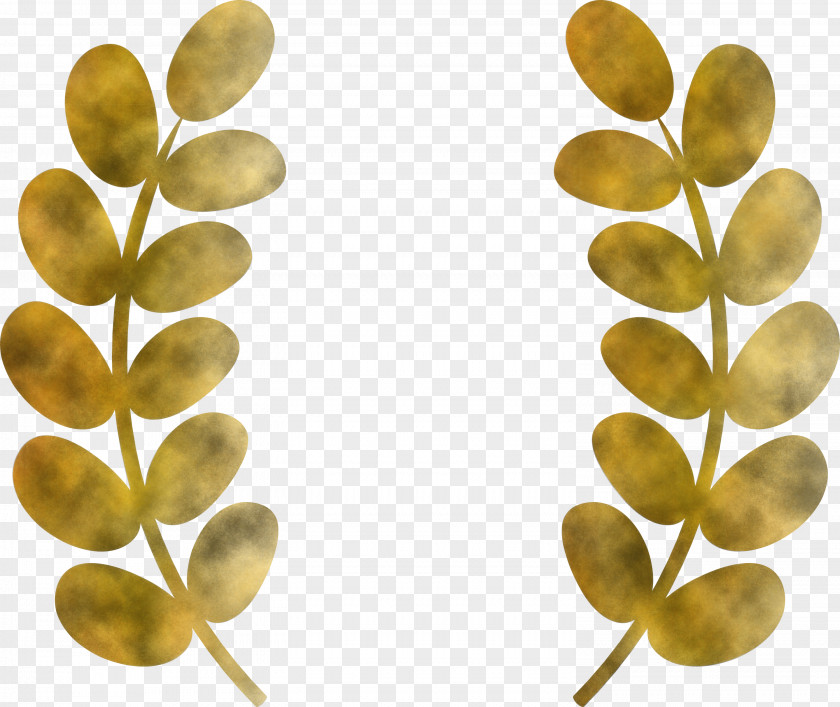 Wheat Ears PNG