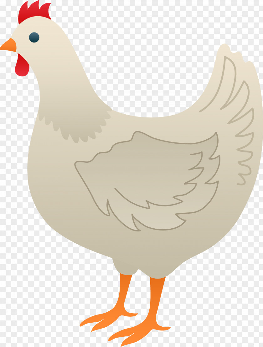 Chicken Cliparts Black Hen Clip Art PNG