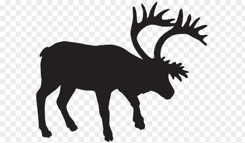Deer Silhouette Muskox Clip Art PNG