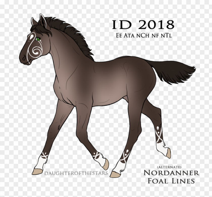 Horse Digital Art Pony Foal PNG