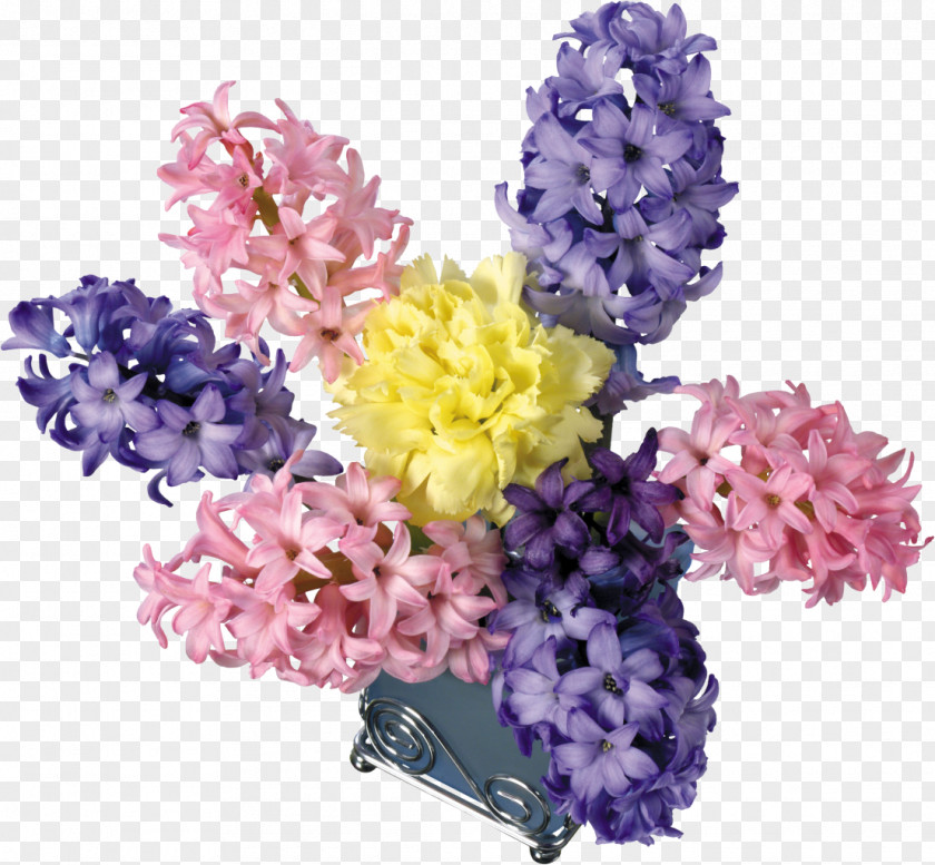 Hyacinth Flower Clip Art PNG
