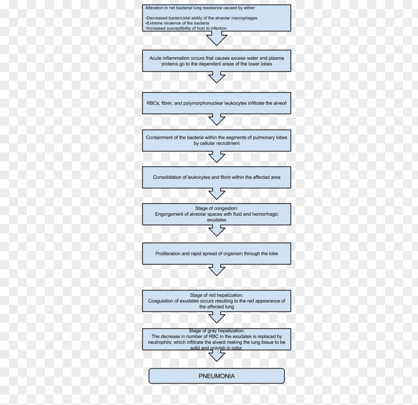 Lung Pneumonia Pathophysiology Symptom Nursing Care Plan Diabetes Mellitus PNG