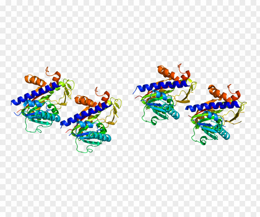 MRNA (guanine-N7-)-methyltransferase Five-prime Cap Capping Enzyme PNG