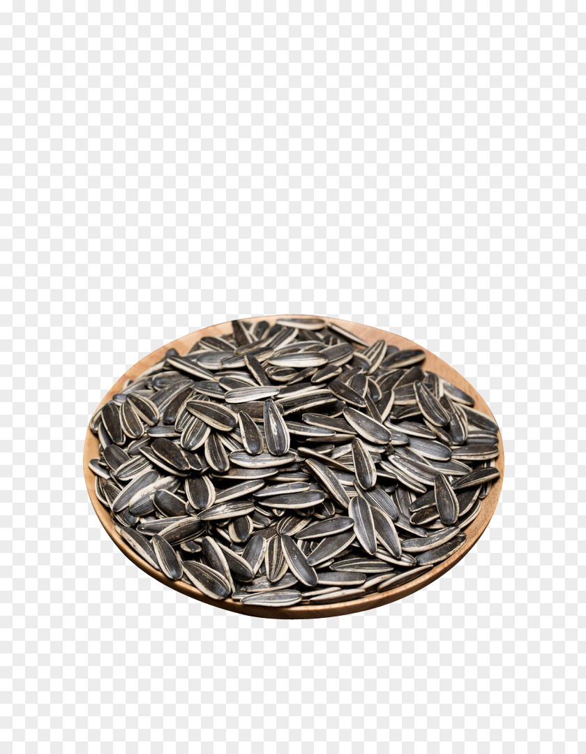 Sunflower Seeds Seed Common PNG