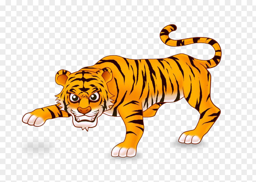 Tiger Cubs Royalty-free PNG