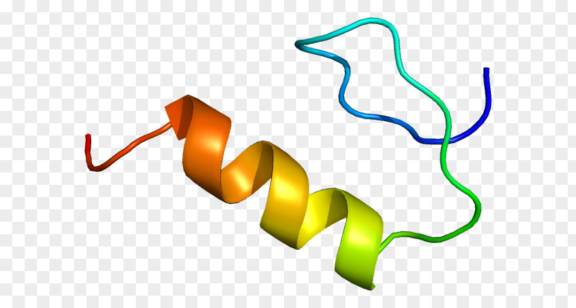 Transcription Factor Sp1 Protein Gene PNG
