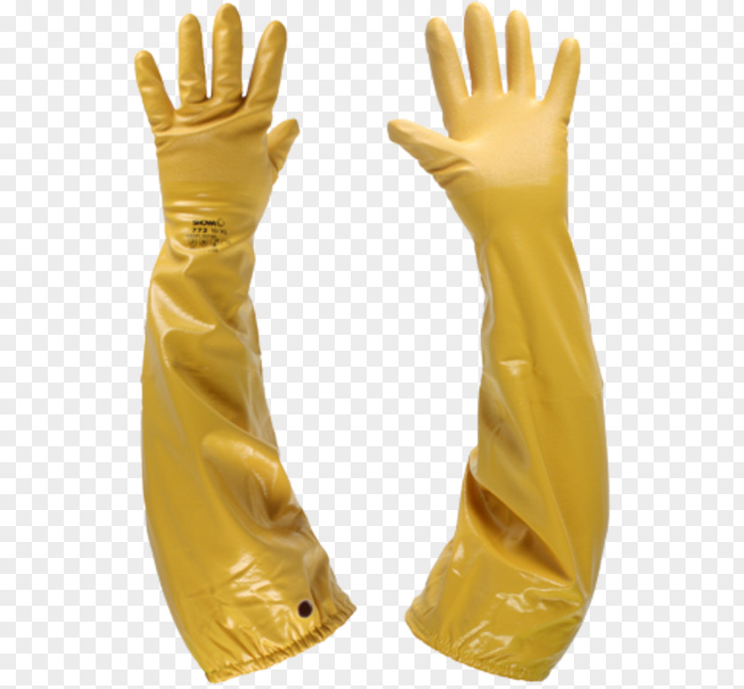 Canteen Brochure Rubber Glove Medical Natural Latex PNG