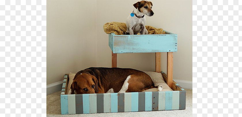 Dog Begging Table Bunk Bed Pallet PNG