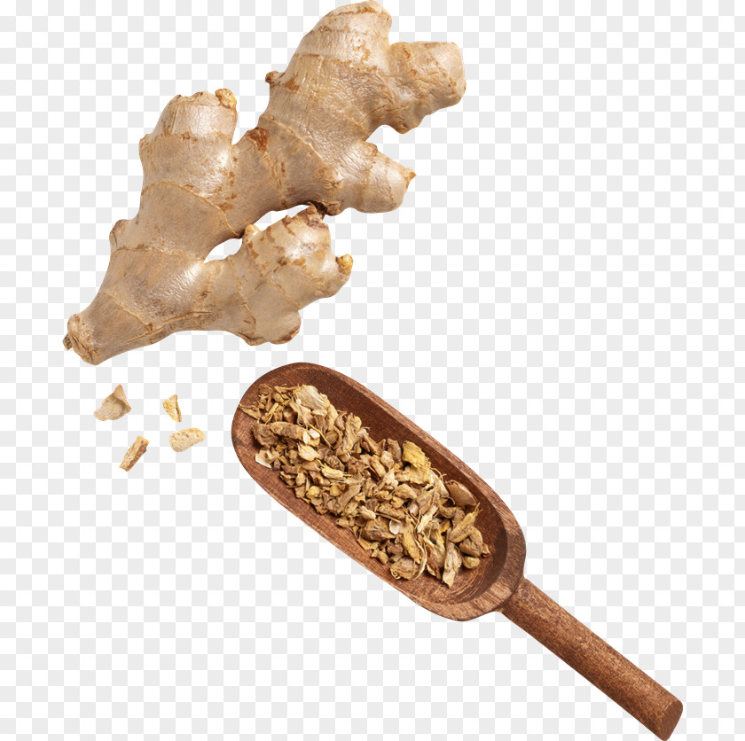 Ginger Beer Ale Tea Vegetable PNG