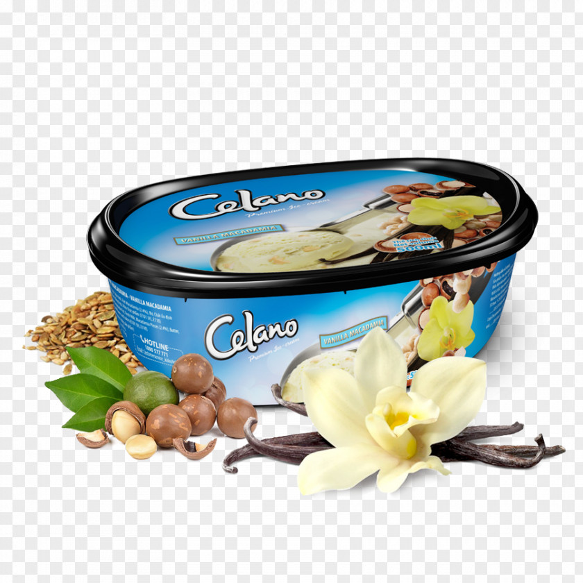 Ice Cream Matcha Flavor Chocolate Vanilla PNG