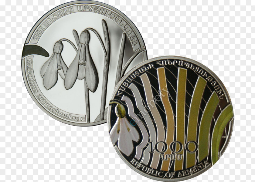 Silver Coin Proof Coinage Dollar PNG