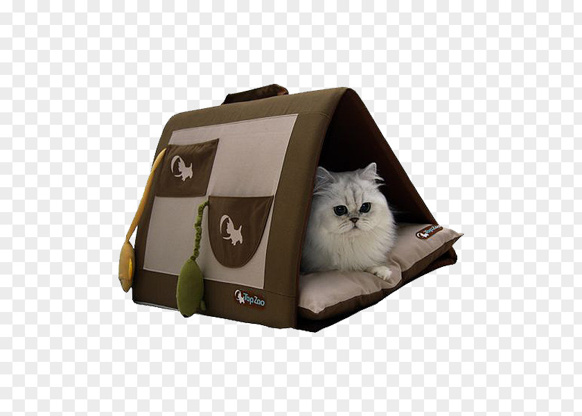 Cat Whiskers Dog Bed Pet PNG