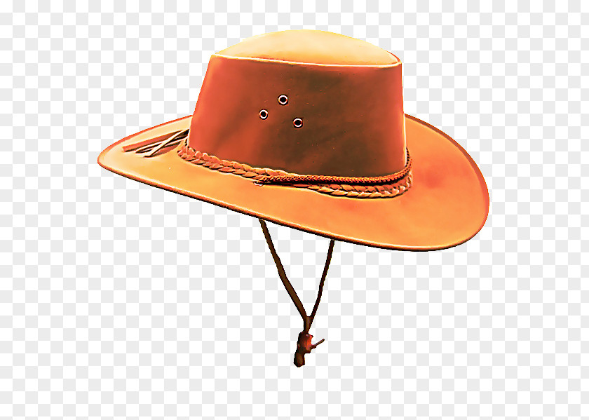Fedora Sun Hat Cowboy PNG
