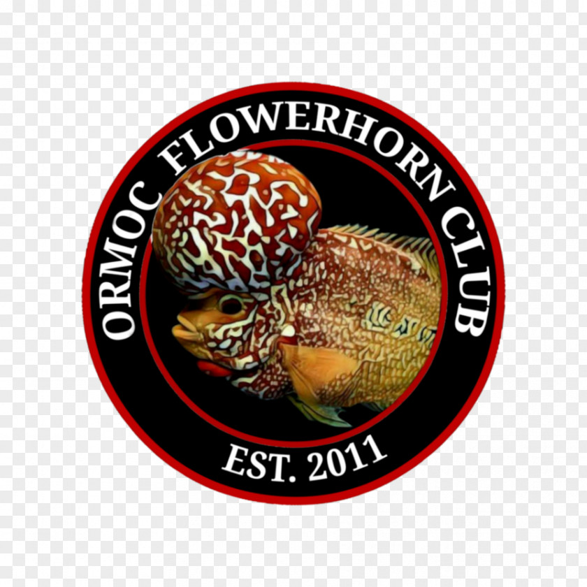 Flowerhorn Flower Horn Ormoc Logo DeviantArt PNG