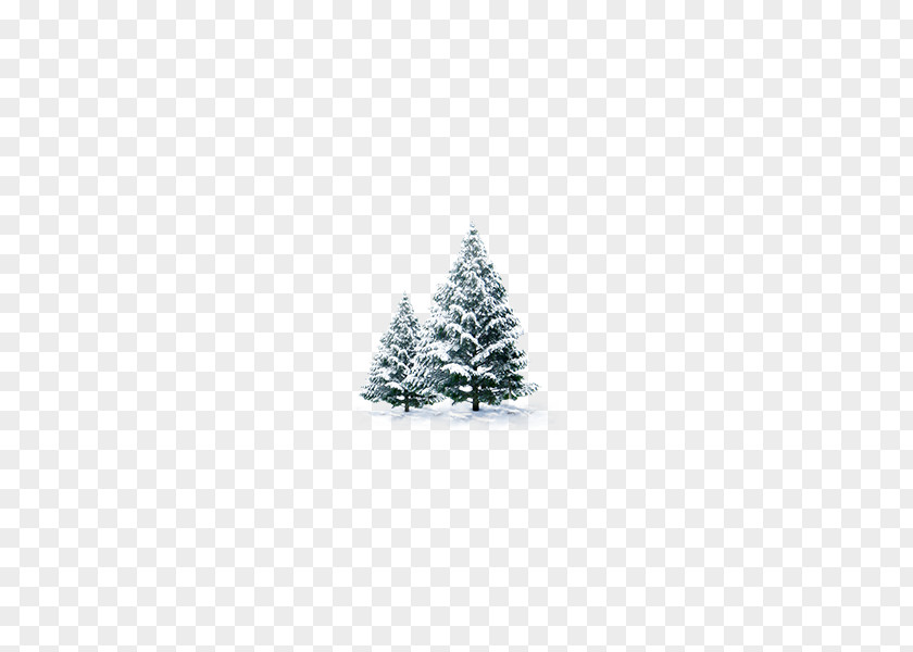 Snow Pine Pxe8re Noxebl Santa Claus Christmas Tree New Year PNG