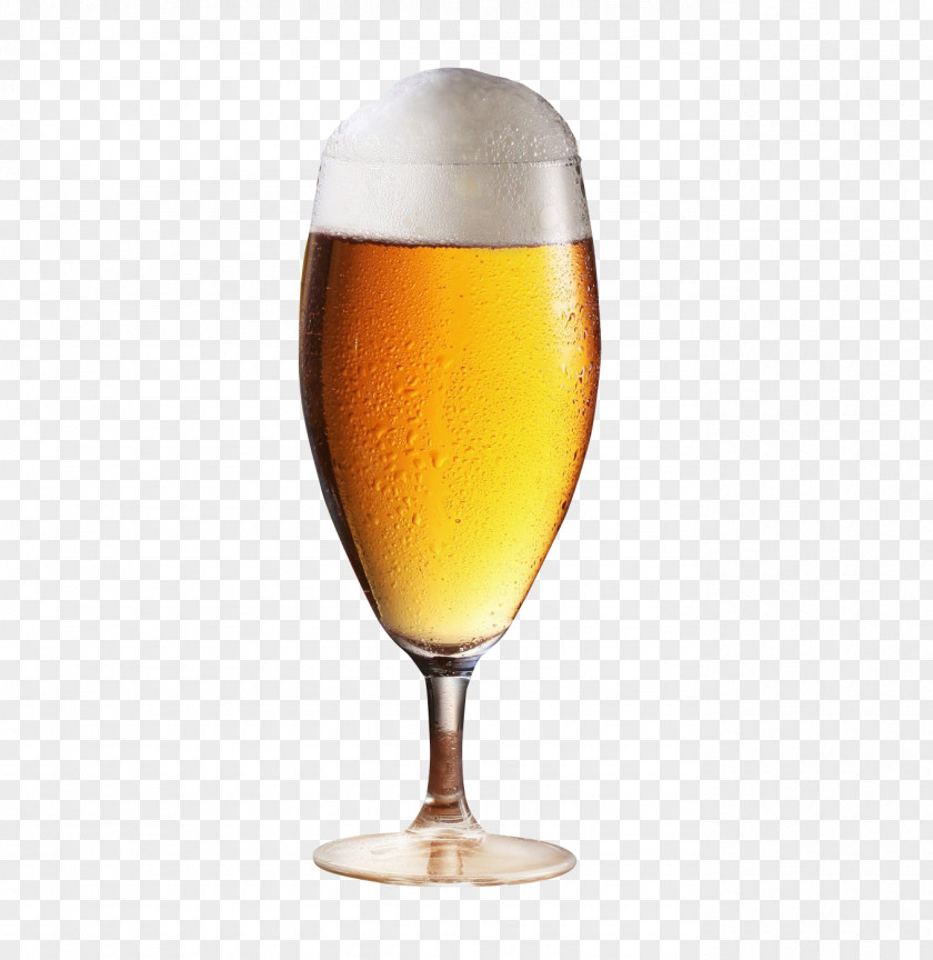Beer Glass Glassware PNG